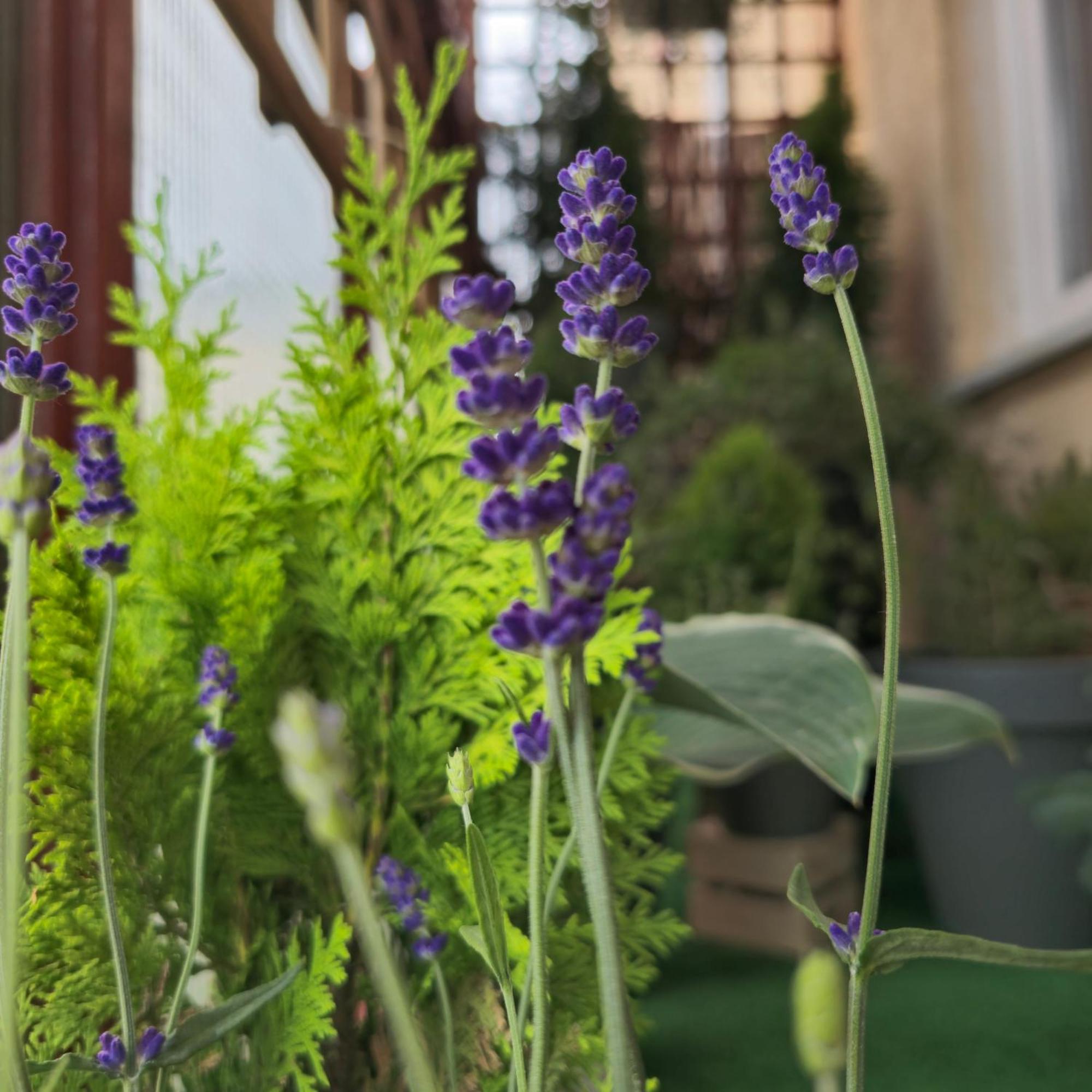 Apartamenty Magvel Szczecin Dış mekan fotoğraf